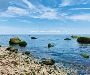 A rocky shoreline greets visitors at Wildwood State Park