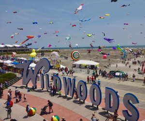 Wildwoods International Kite Festival : 100 Free Things to Do in NJ with Kids