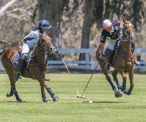 Don't forget the divot stomp after the match! Photo courtesy of the Will Rogers Polo Club, Facebook
