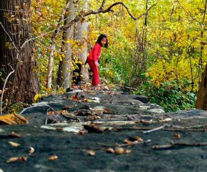 Brandywine Creek State Park Best Things To Do in Wilmington, Delaware