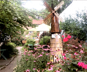 Windmill Community Garden is a secret oasis