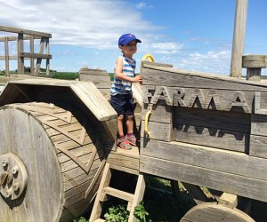 Boy rides a toy tractor at windy acres farm where you can go strawberry picking on Long Island