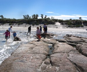  Wingaersheek Beach at low tide creates tide pools for critter searching