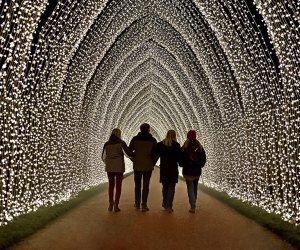 Winter Cathedral is but one of the stunning sights you'll encounter at Lightscape, the new installation at the Brooklyn Botanic Garden. Photo by Richard Haughton for Sony Music