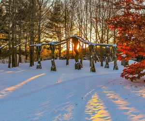 See the snow-covered sculptures at New Jersey's Grounds for Sculpture on a winter day trip. Photo courtesy of the Grounds for Sculpture