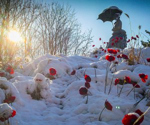 NJ Winter Fun List: 30+ Things To Do With Kids The Grounds For Sculpture welcomes visitors all winter long. Photo courtesy of the venue