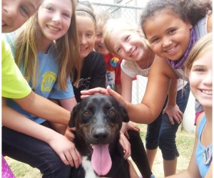 Winter & Holiday Camps for Houston Kids