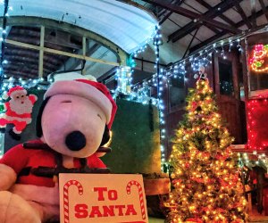 Catch the trolley for Winterfest and the Tunnel of Lights. Photo courtesy of Connecticut Trolley Museum