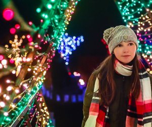 Winterlights come to Canton, North Andover, and Stockbridge for Christmas 2023. Winterlights in Canton photo courtesy of World's End Reservation.