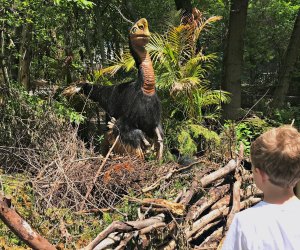 Destination Dino at Franklin Park, BU Today