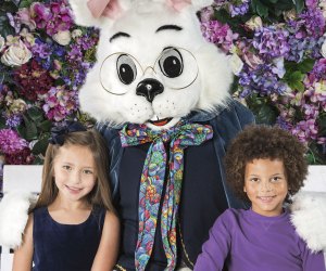 Hop to It!  It's time for Easter Bunny pictures near Chicago at Woodfield Mall. Photo courtesy of the mall