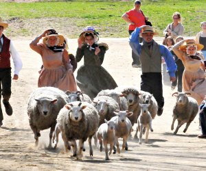 Memorial Day Weekend Fun for Boston Kids Wool Days fun is afoot this weekend! Photo courtesy of Old Sturbridge Village