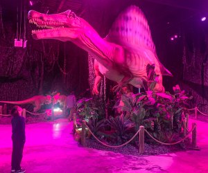 Dinos Alive: Immersive Experience in Washington, DC: Spinosaurus