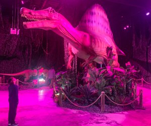 Dinos Alive: Immersive Experience Brings Dinosaurs Roaring Into Washington,  DC