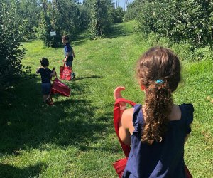 Kids search for apples at Wightman Farms' orchard