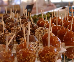 Things To Do in Williamsburg, VA with Kids: Rows and rows of candy apples at Wythe Candy & Gourmet Shop