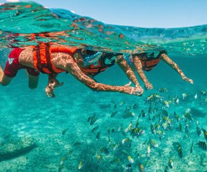 With lush reefs, and crystal-clear waters,  Xcaret is fabulous place to snorkel. Photo courtesy of Xcaret Parks