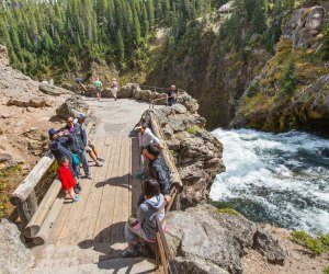 Upper Falls of the Grand Canyon of Yellowstone