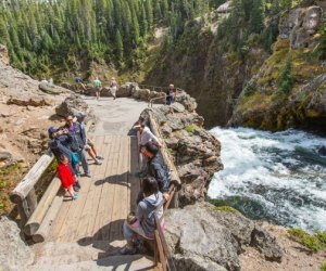 Ultimate Road Trip Planner: How to Have the Perfect Family Road Trip: Grand Canyon of the Yellowstone's Upper Falls.