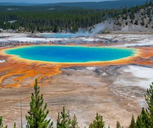 gorgeous, colorful pools at Yellowstone national park.