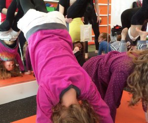 Strike a Pose at Monkey Do! Yoga in Brooklyn