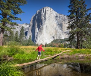 Family Road Trips From Los Angeles: Yosemite
