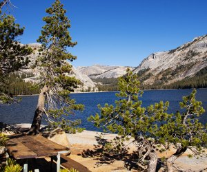 The gorgeous wide-open spaces of Yosemite National Park reopened to visitors with restrictions. Photo courtesy of NPS