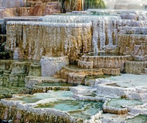 Yellowstone Mammoth Hot Springs