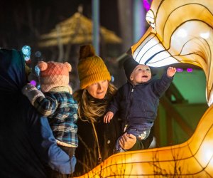 Boston's zoos will be aglow with seasonal fun as the top Christmas events and holiday activities come to town for 2023! Zoo Lights event photo courtesy of the Stone Zoo.