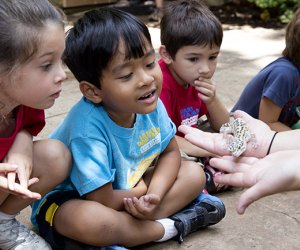 Young kids in Zoo Atlanta Adventure Cubs learn about amazing creatures each month. Photo courtesy Zoo Atlanta