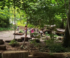 The Zucker Natural Exploration Area is in the shade