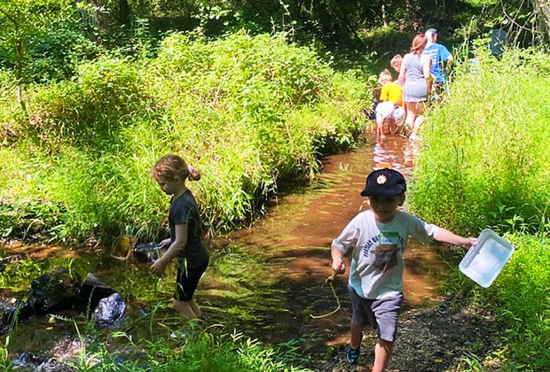 nj: Catching frogs, fish in the stream at Rancocas Nature Center: