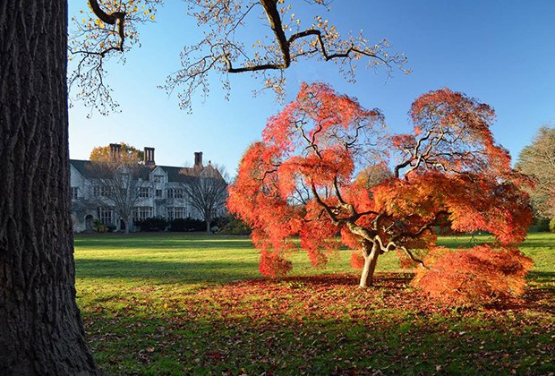 Best Parks in Nassau County for Long Island Kids