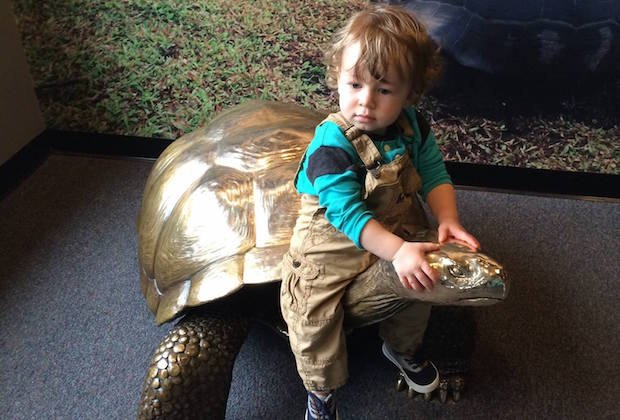 What Ages Get in Free at Philly Museums, Zoos, Gardens, Amusement Parks