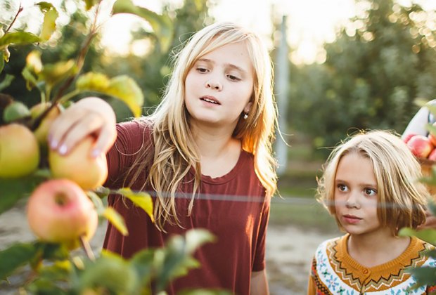 Harvest Festivals, Hayrides, and Fall Fair Fun in New Jersey | Mommy ...