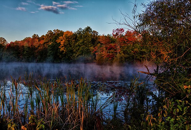 6 Nj Parks Where Families Can See Great Fall Foliage Mommypoppins Things To Do In New Jersey With Kids