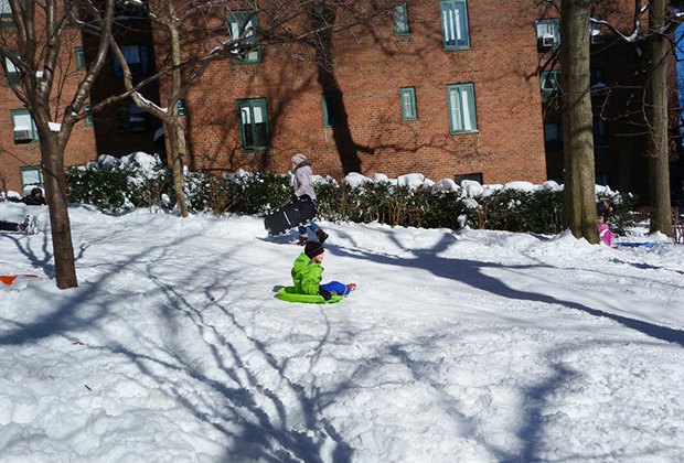 Sledding hills in NYC: Stuy-Town