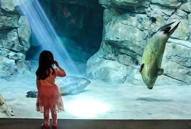 Image of child at tank at Maritime Museum-Things To Do in Norwalk, CT