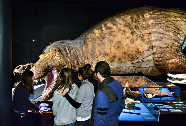 interactive t rex