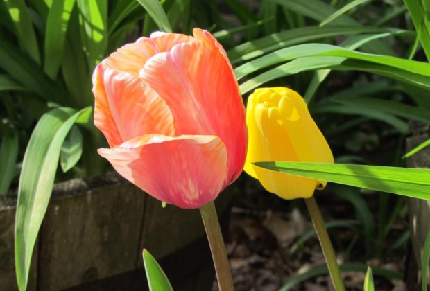 20 Reasons to LOVE Spring in Eastern Connecticut