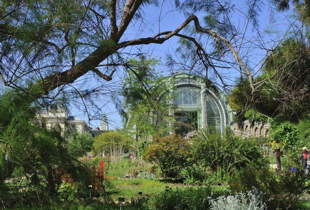 Explore the Jardin des Plantes during a visit to Paris with kids