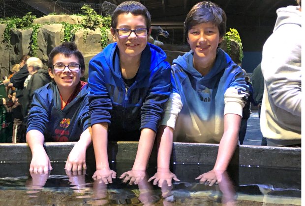 Living Shores: New Interactive Aquarium Opens Next to Story Land There are four tidal pools for kids to explore. Photos courtesy of Living Shores Aquarium