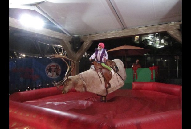 Things To See On Long Island Christmas For Tweens Things To See On Long Island Christmas For Tweens
