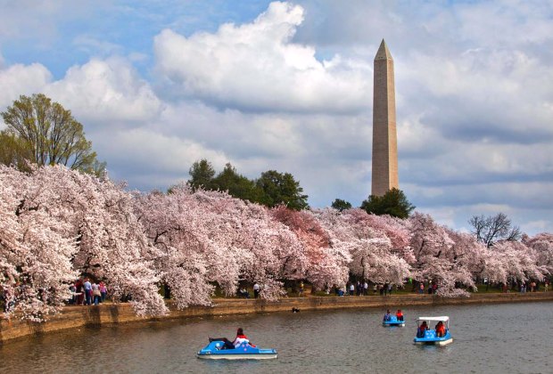 The famous Washington Monument is a 555-foot marble obelisk towering over DC