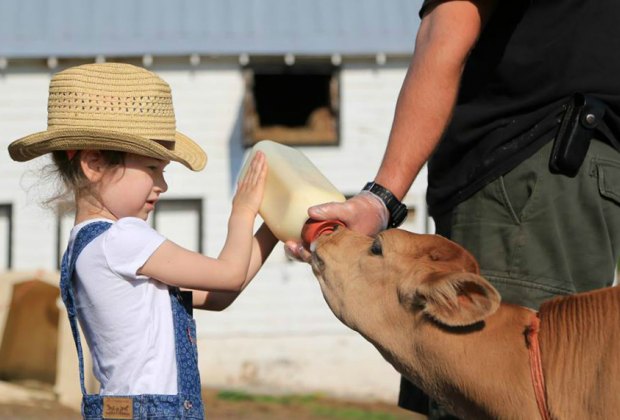 Farm Stays Near NYC: Enjoy a Farm-Themed Family Vacation