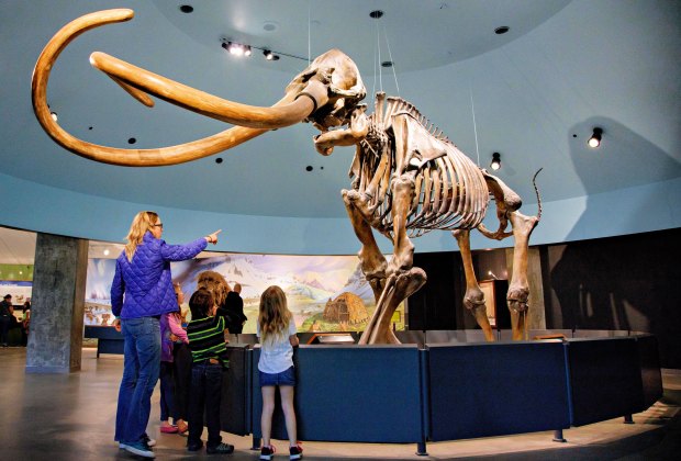 Free Admission for Kids at the Page Museum