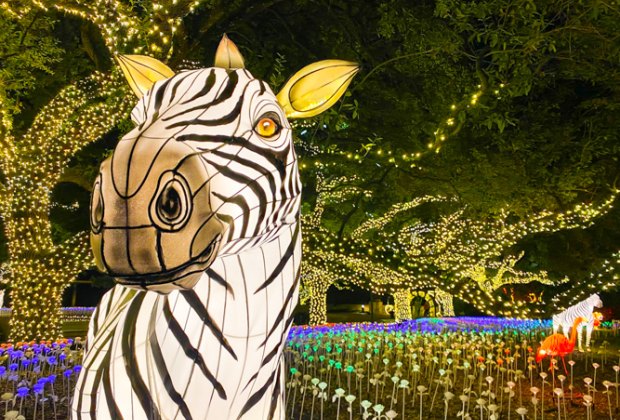 Houston Zoo Lights