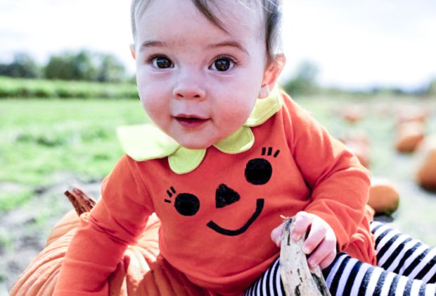 Photo of toddler wearing pumpkin costume in a pumpkin patch