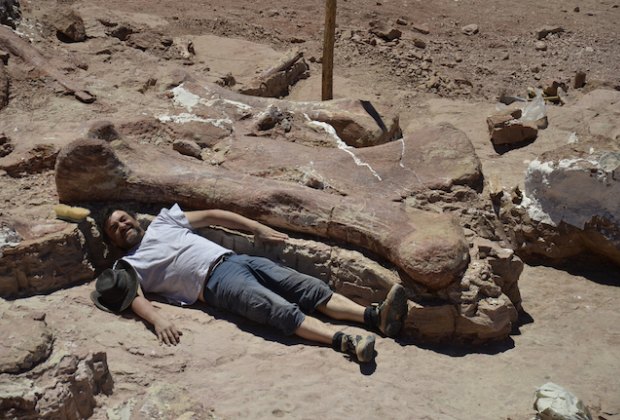 Dinosaurs Among Us: American Museum of Natural History to Unveil Titanosaur