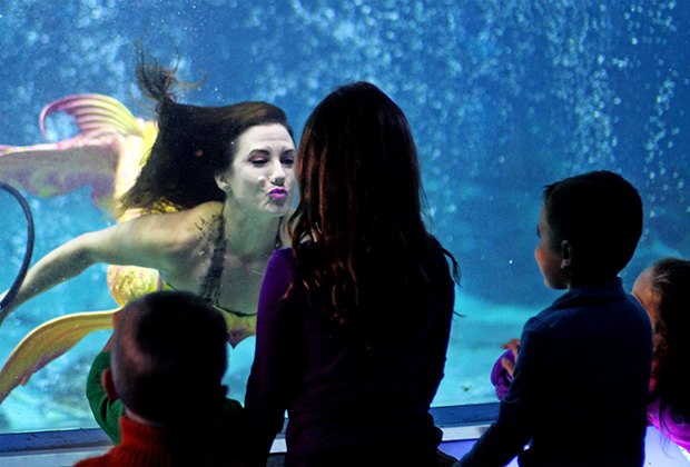 November school holidays things to do in New Jersey with kids: Adventure Aquarium